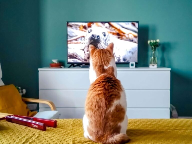 Atlas Pro Ontv